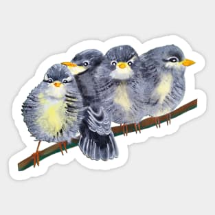 Birds Sticker